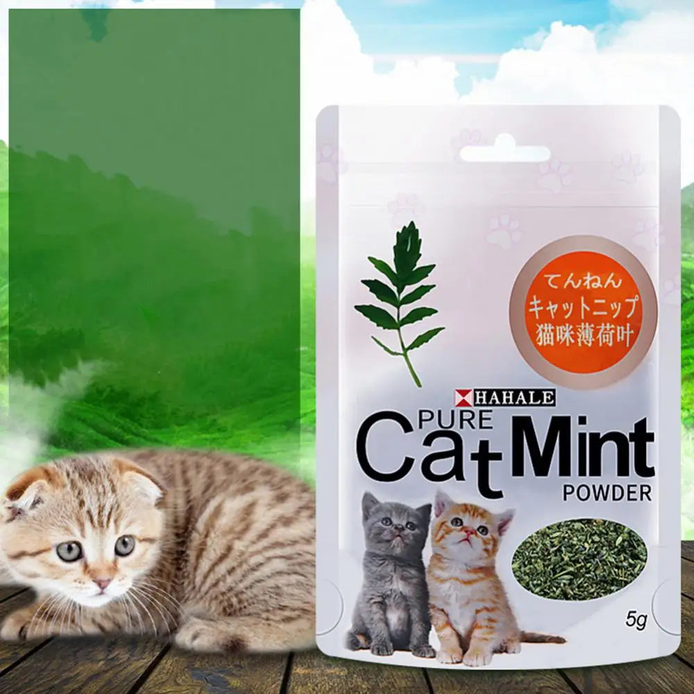 Polvo de menta natural para gatos (5 g/paquete) - Golosinas con sabor a hierba gatera para limpiar la boca de los gatitos