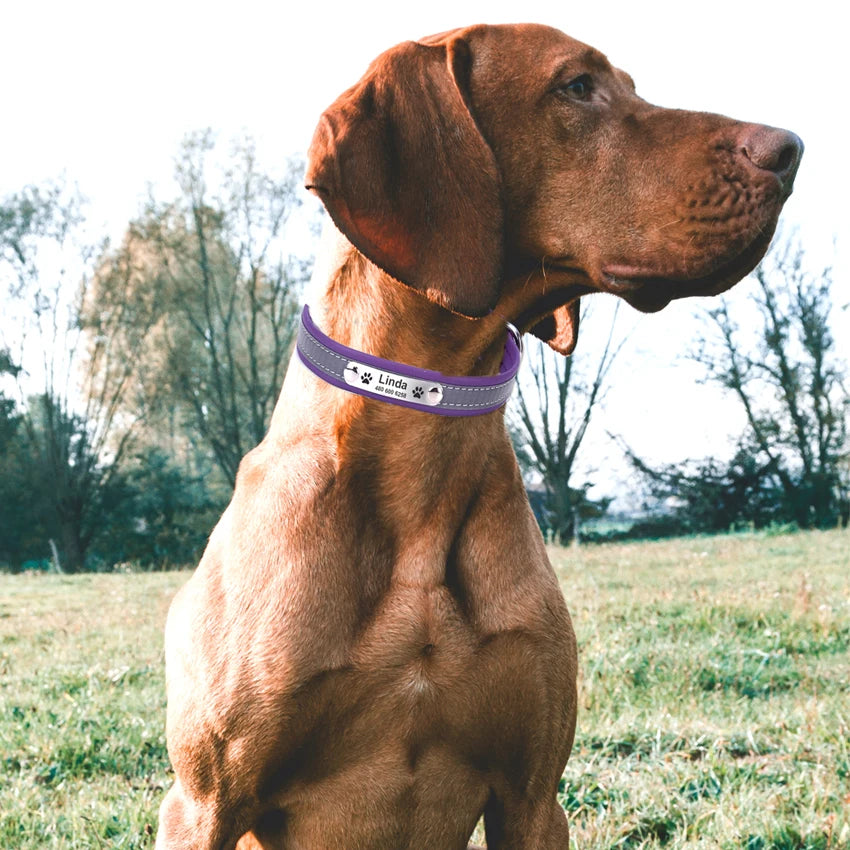 Collar reflectante personalizado para perro, de cuero resistente a las mordeduras, collar para cachorro y gato, collar de identificación, grabado con nombre, número de teléfono, placa de identificación para cachorro