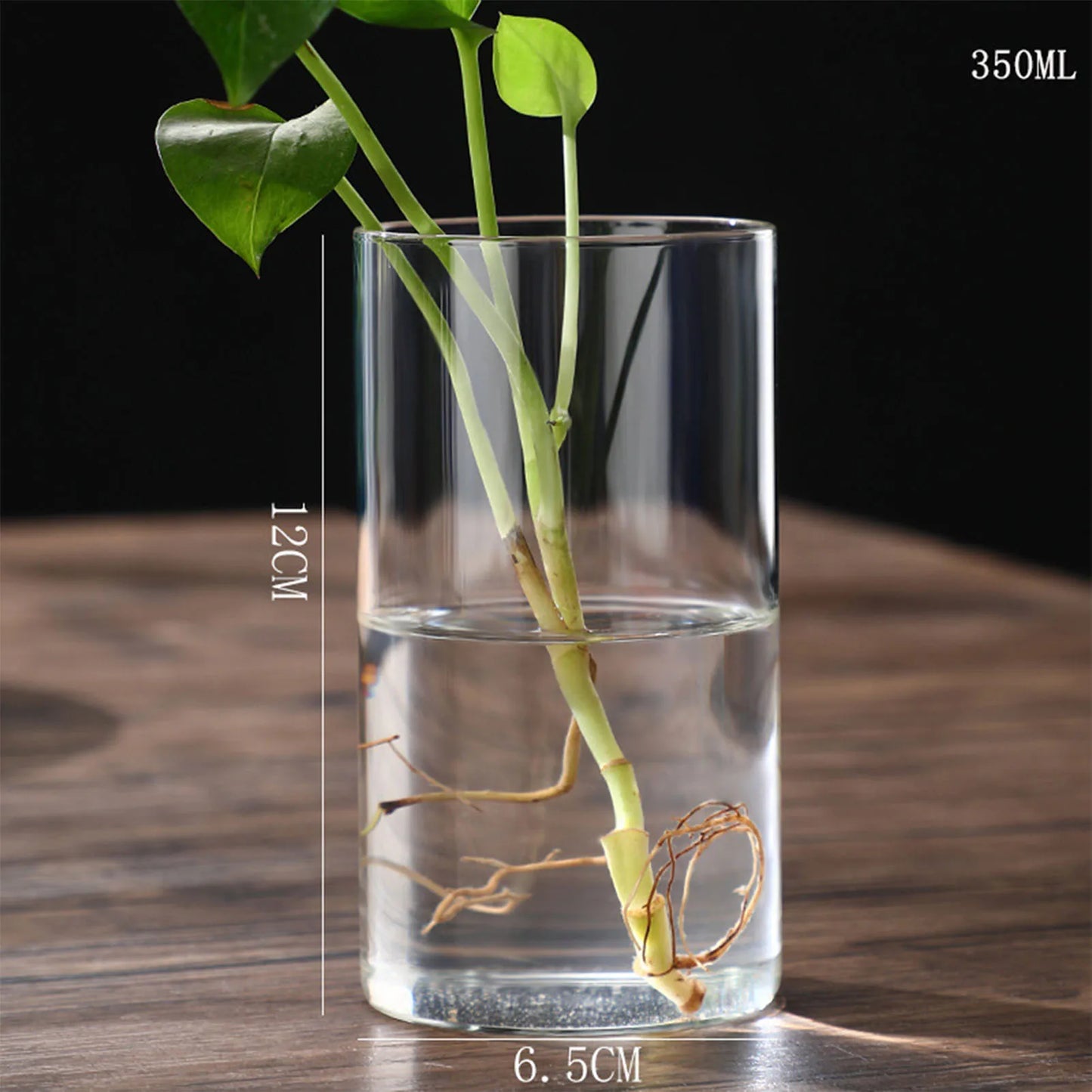 Maceta de vidrio para escritorio con plantas hidropónicas, florero de vidrio transparente, florero cilíndrico para dormitorio, decoración del hogar