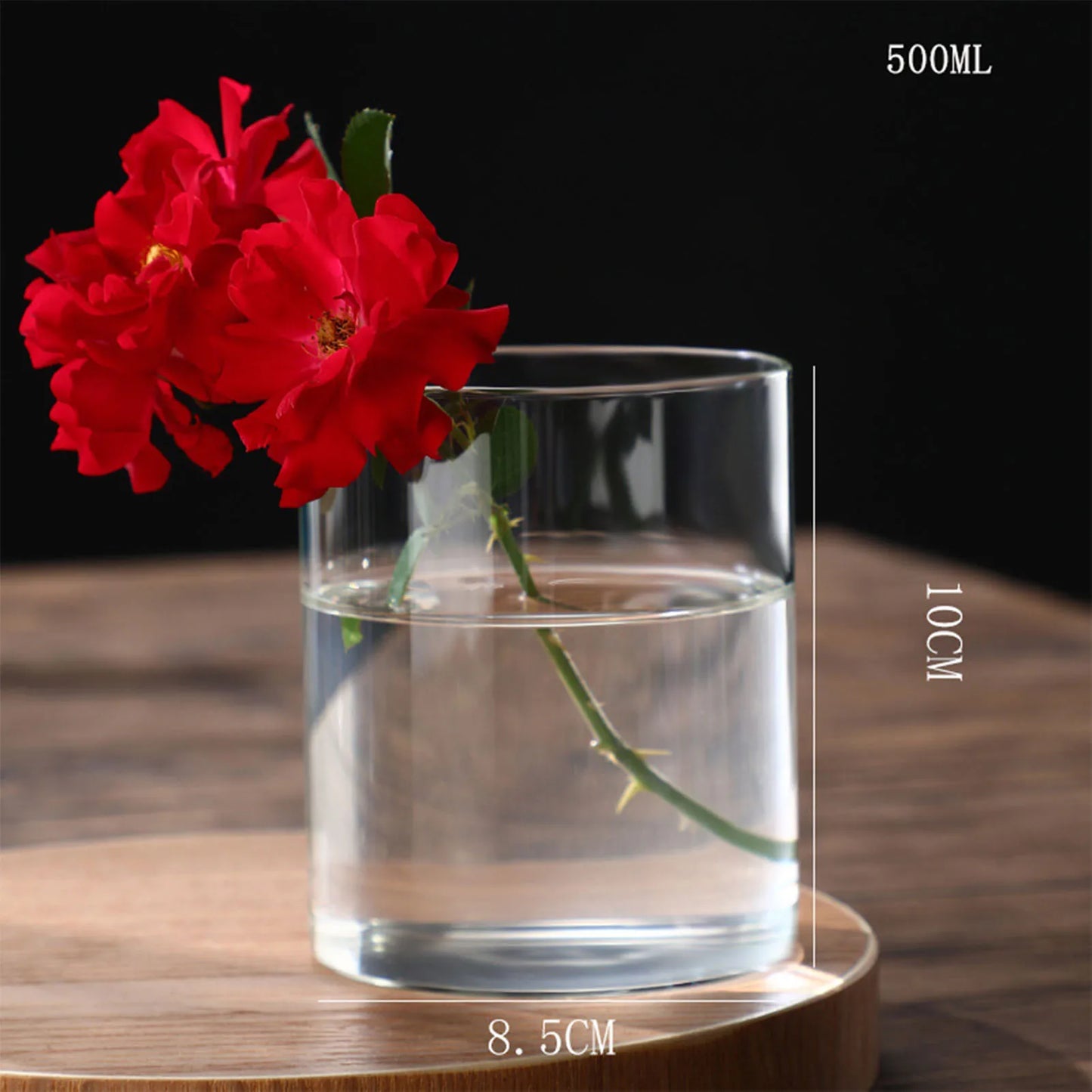 Maceta de vidrio para escritorio con plantas hidropónicas, florero de vidrio transparente, florero cilíndrico para dormitorio, decoración del hogar