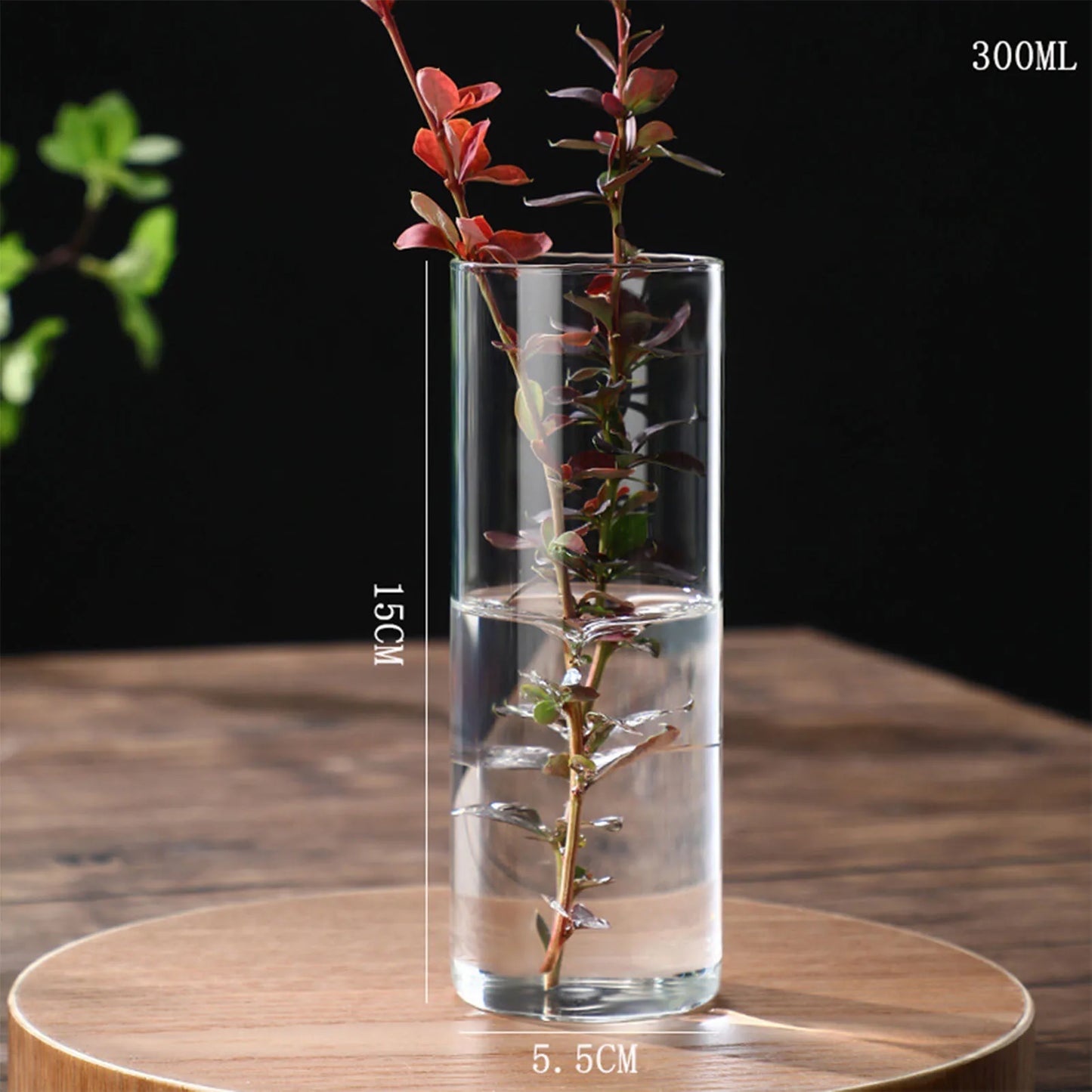 Maceta de vidrio para escritorio con plantas hidropónicas, florero de vidrio transparente, florero cilíndrico para dormitorio, decoración del hogar