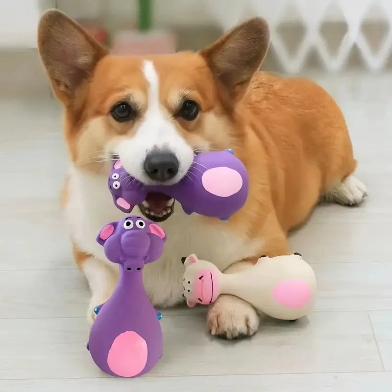 Juguetes masticables de goma suave, cuatro estilos, chirriantes, interactivos, juegos de lanzamiento, lindos y divertidos, adecuados para perros pequeños y medianos.