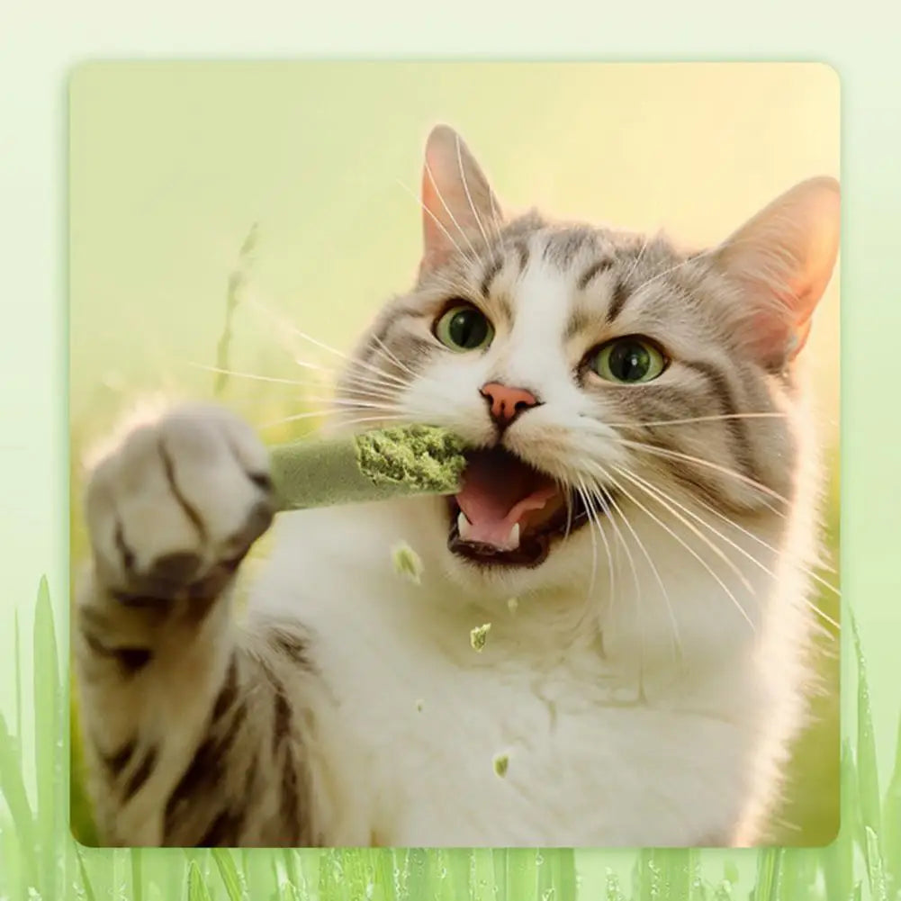 Snacks para mascotas con aroma a hierba para gatos, suaves para la limpieza dental, pastillas para gatos y rechinar los dientes.
