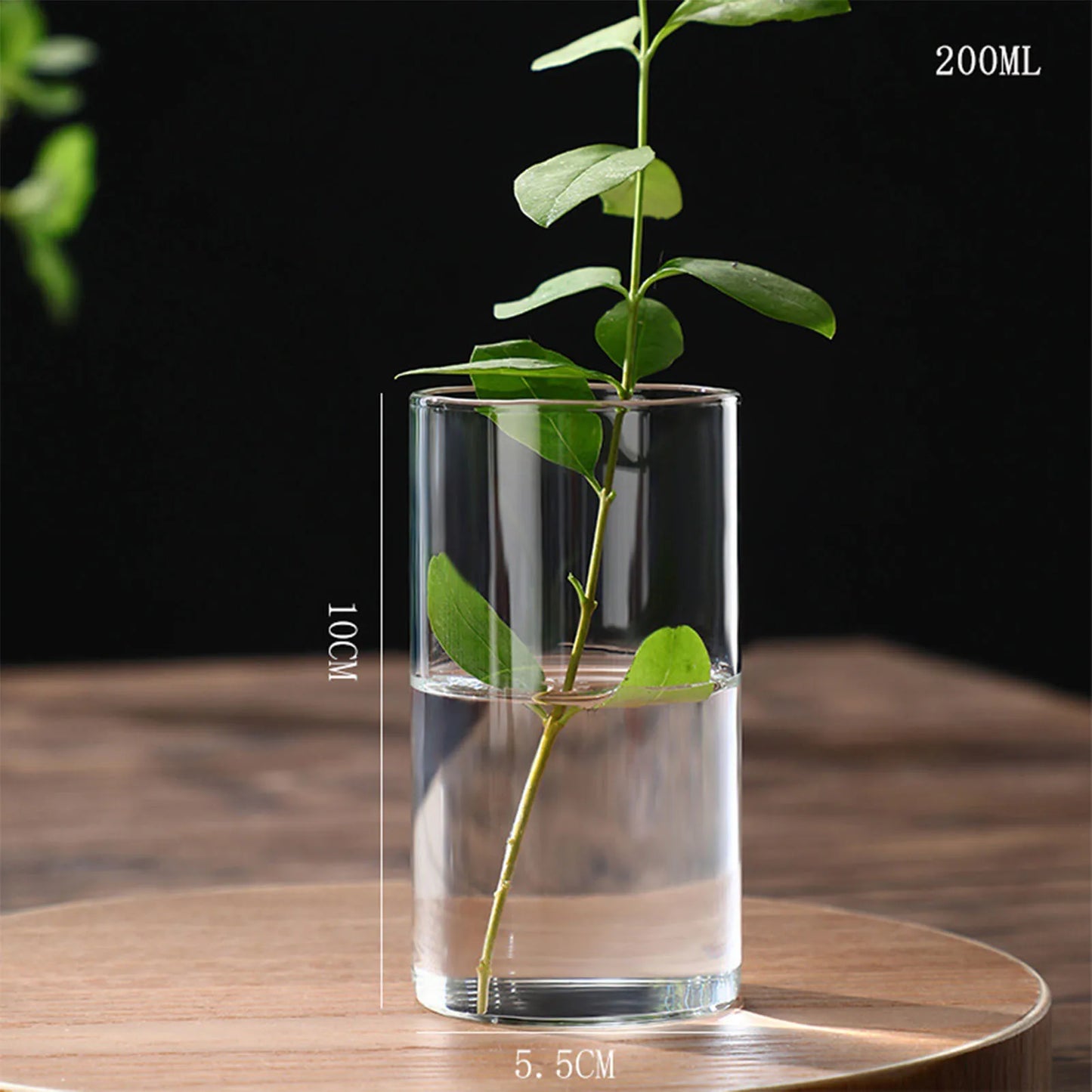 Maceta de vidrio para escritorio con plantas hidropónicas, florero de vidrio transparente, florero cilíndrico para dormitorio, decoración del hogar