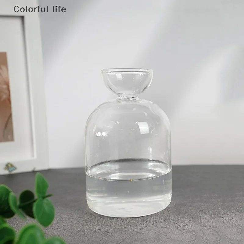 Kit de cultivo de semillas de vidrio para plantas, para amantes de la jardinería, para iniciar semillas de aguacate, jarrón de vidrio transparente.