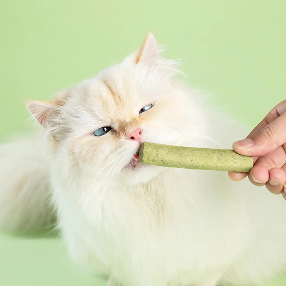 Snacks para mascotas con aroma a hierba para gatos, suaves para la limpieza dental, pastillas para gatos y rechinar los dientes.
