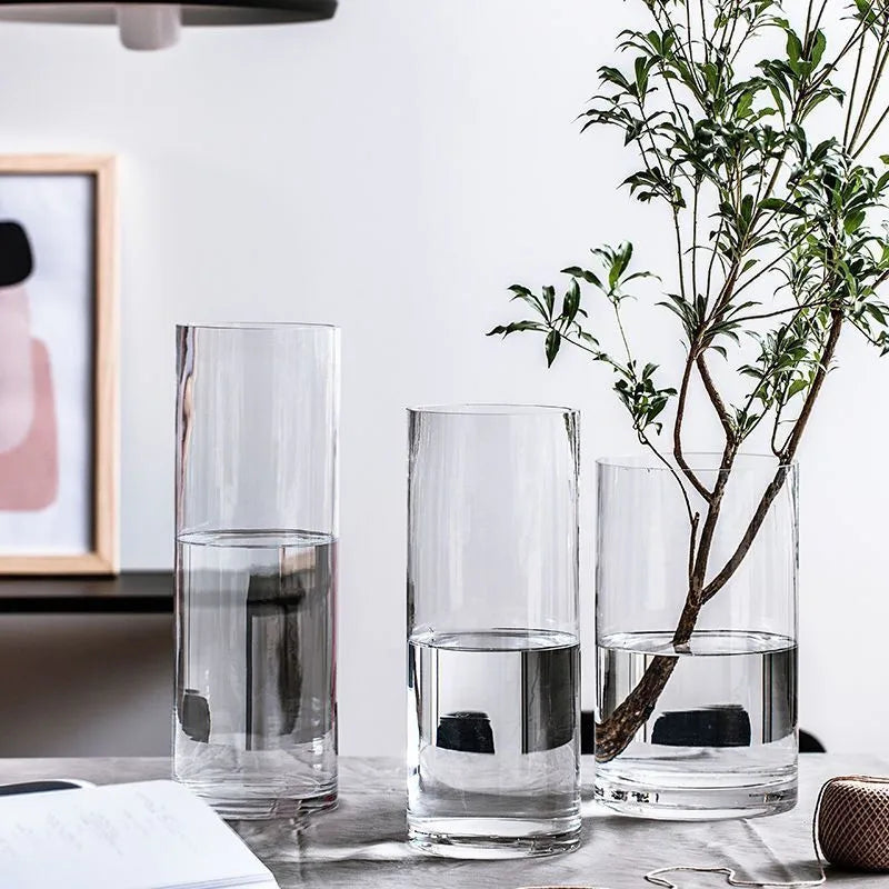 Maceta de vidrio para escritorio con plantas hidropónicas, florero de vidrio transparente, florero cilíndrico para dormitorio, decoración del hogar