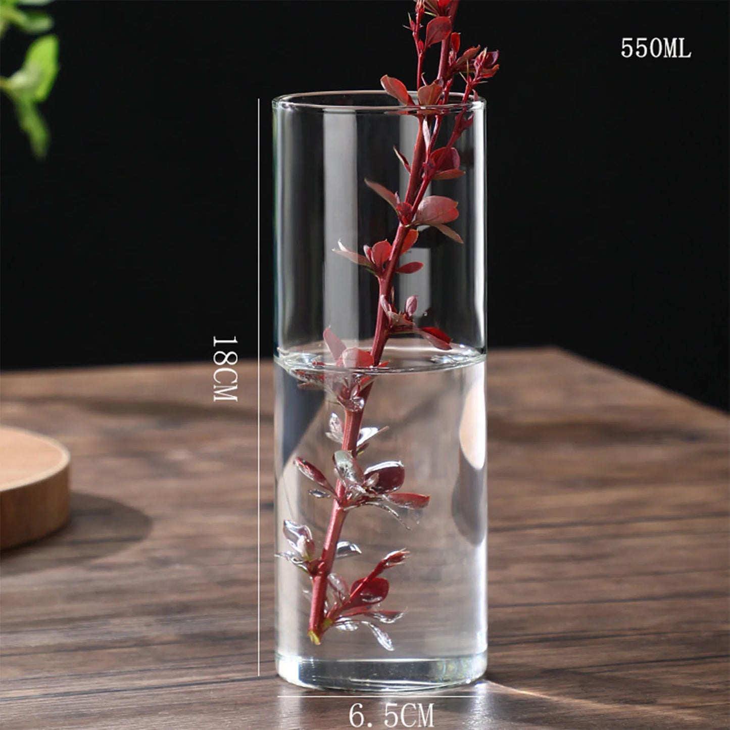 Maceta de vidrio para escritorio con plantas hidropónicas, florero de vidrio transparente, florero cilíndrico para dormitorio, decoración del hogar