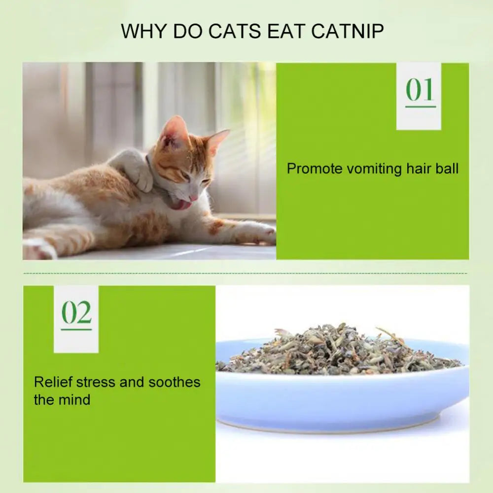 Polvo de menta natural para gatos (5 g/paquete) - Golosinas con sabor a hierba gatera para limpiar la boca de los gatitos