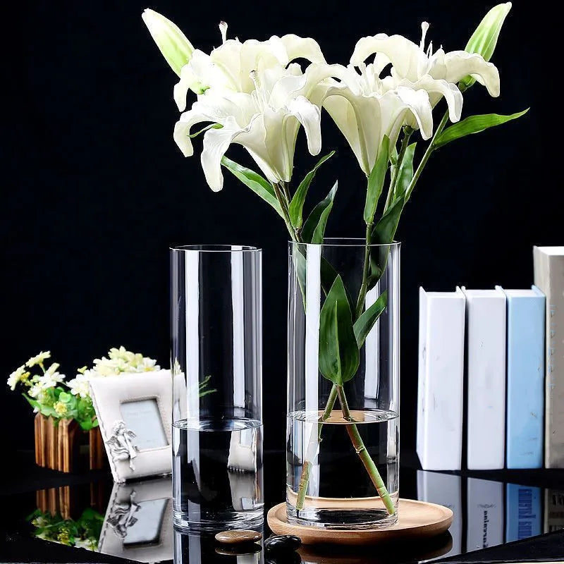Maceta de vidrio para escritorio con plantas hidropónicas, florero de vidrio transparente, florero cilíndrico para dormitorio, decoración del hogar
