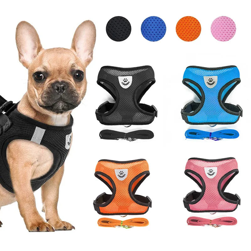 Arnés y correa de malla transpirable de nailon para perros y gatos, chaleco, arnés para perros pequeños, gatitos y gatos, accesorios para mascotas.