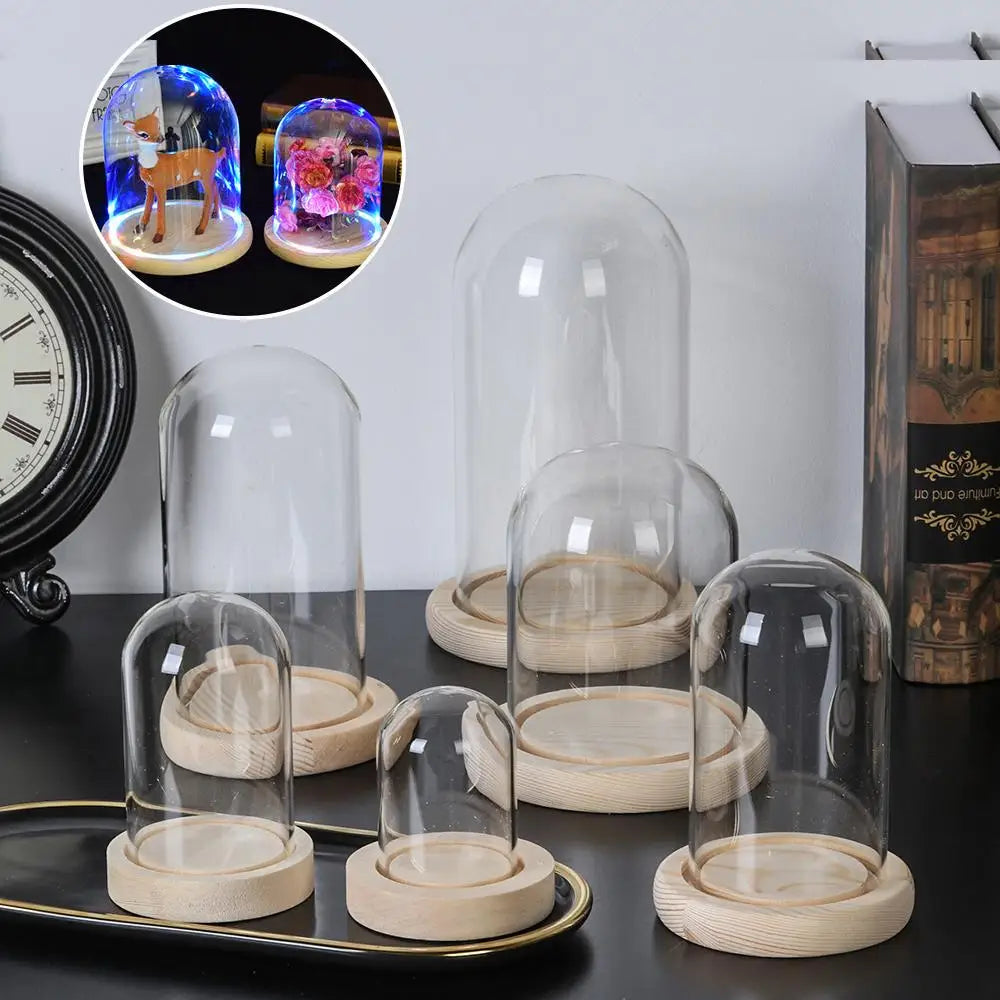 Soporte de exhibición de frasco de vidrio cloche, cubierta de terrario, botella con base de madera, cubierta de acrílico antipolvo, caja de exhibición, caja de flores inmortal