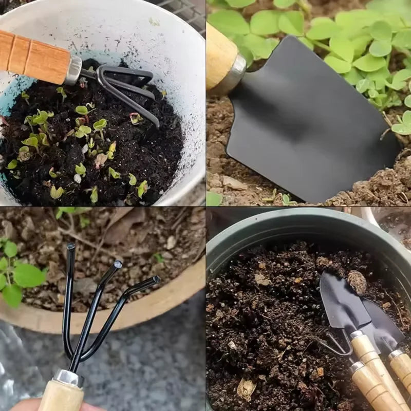 Juego de herramientas para jardinería, para plantas en maceta, pinzas, tijeras, flores, herramientas para jardinería, deshierbe.
