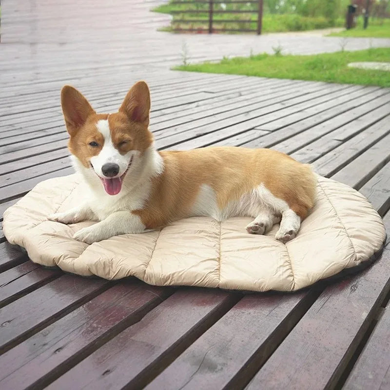 Cama de verano para mascotas, camas para perros, muebles, camas y casas para cachorros, accesorios para perros, tapetes para gatos, sofás grandes para mascotas.