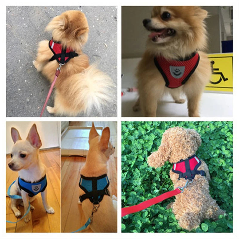 Arnés y correa de malla transpirable de nailon para perros y gatos, chaleco, arnés para perros pequeños, gatitos y gatos, accesorios para mascotas.