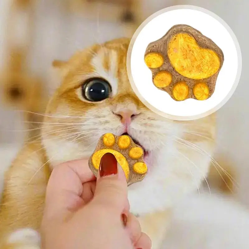 Galletas con forma de pata para gatos, liofilizadas y naturales, con forma de huella, premios para gatos, limpieza bucal.