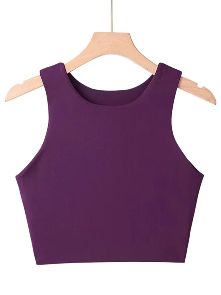 Tops ajustados sexis de moda de verano 2023 para mujer, cuello redondo, sin mangas, de nailon doble, de buena calidad, en 6 colores