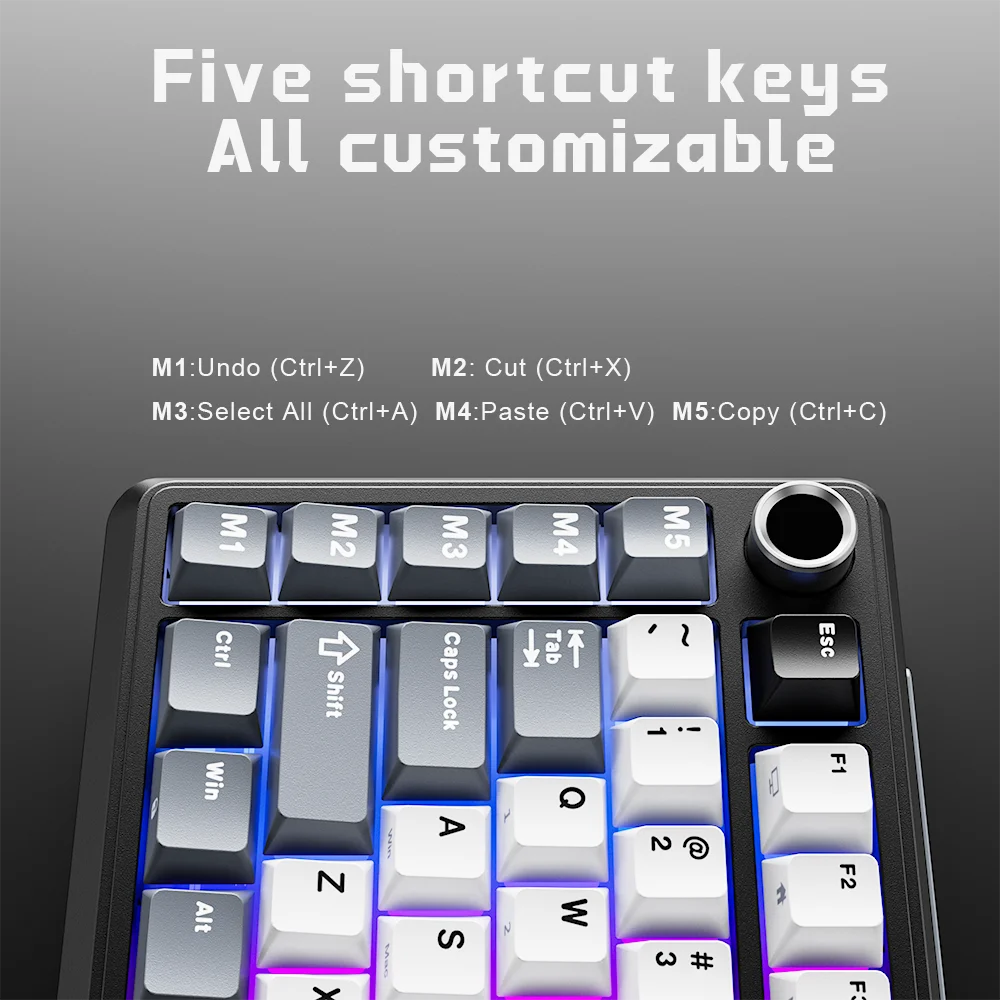 RK ROYAL KLUDGE L75 Teclado mecánico personalizable con cinco teclas de acceso directo, estructura de junta, retroiluminación RGB de tres modos, teclado para gamers