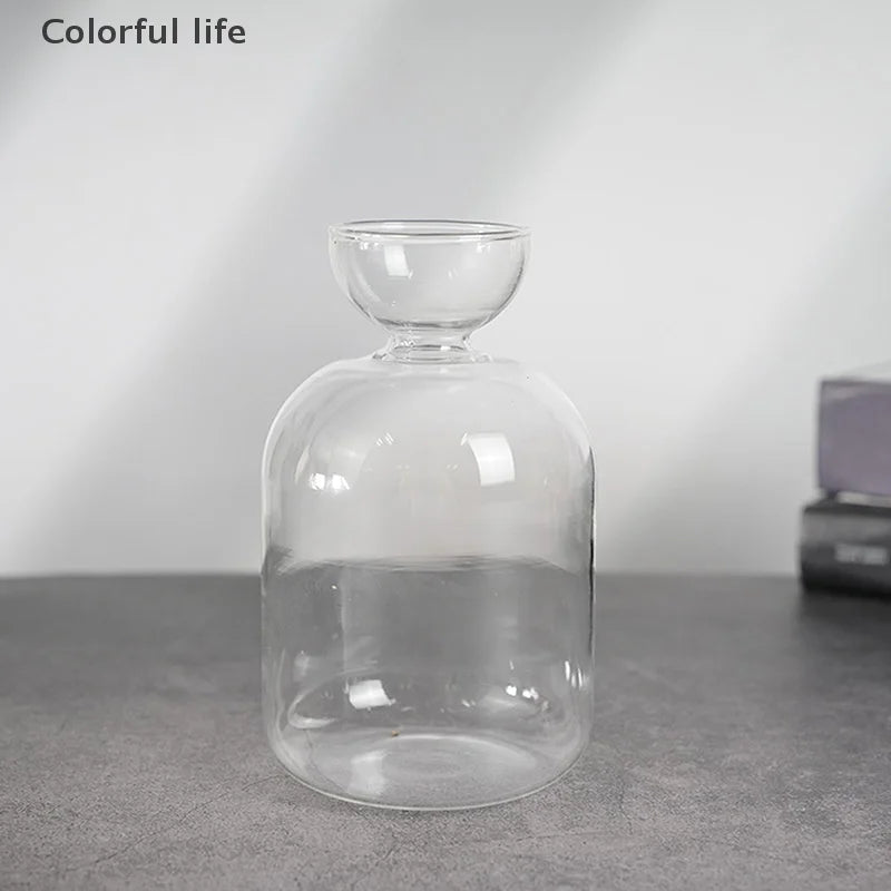 Kit de cultivo de semillas de vidrio para plantas, para amantes de la jardinería, para iniciar semillas de aguacate, jarrón de vidrio transparente.
