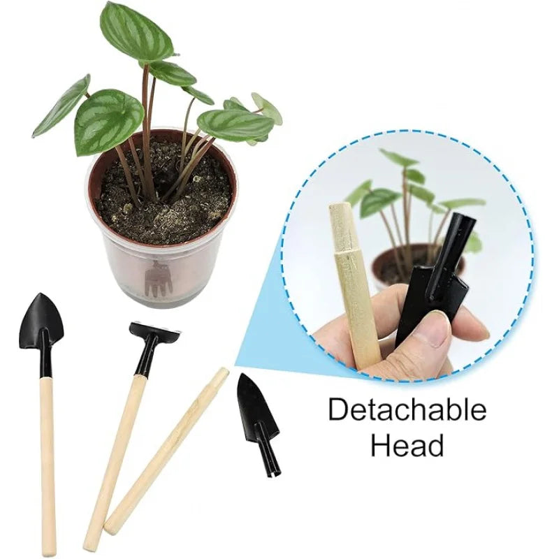6 herramientas de jardinería para uso doméstico, adecuadas para cultivar verduras, mejorar la estética del jardín y organizar plantas en macetas pequeñas.