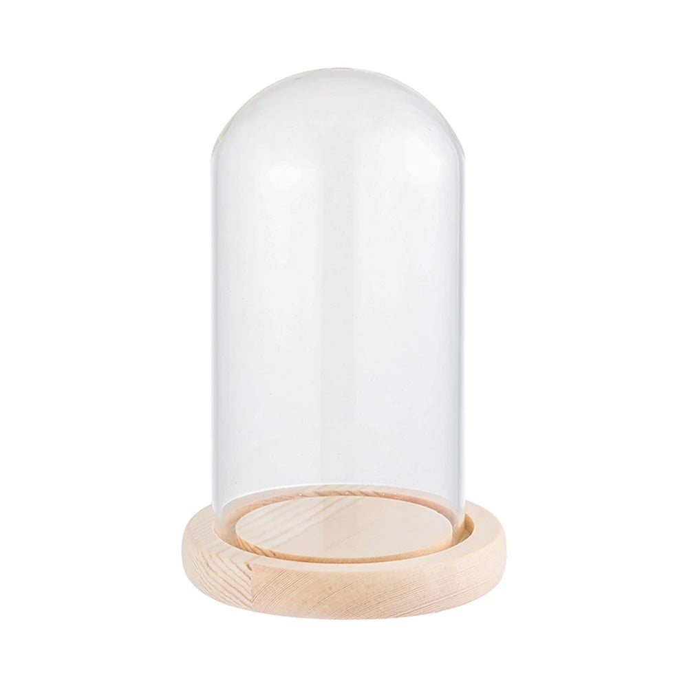 Soporte de exhibición de frasco de vidrio cloche, cubierta de terrario, botella con base de madera, cubierta de acrílico antipolvo, caja de exhibición, caja de flores inmortal