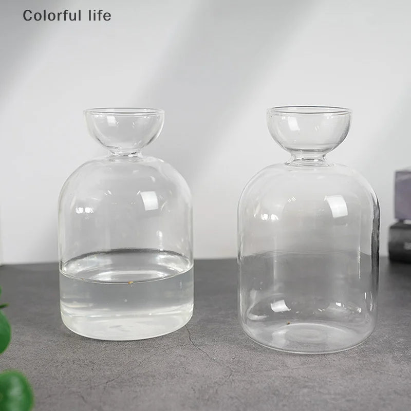 Kit de cultivo de semillas de vidrio para plantas, para amantes de la jardinería, para iniciar semillas de aguacate, jarrón de vidrio transparente.