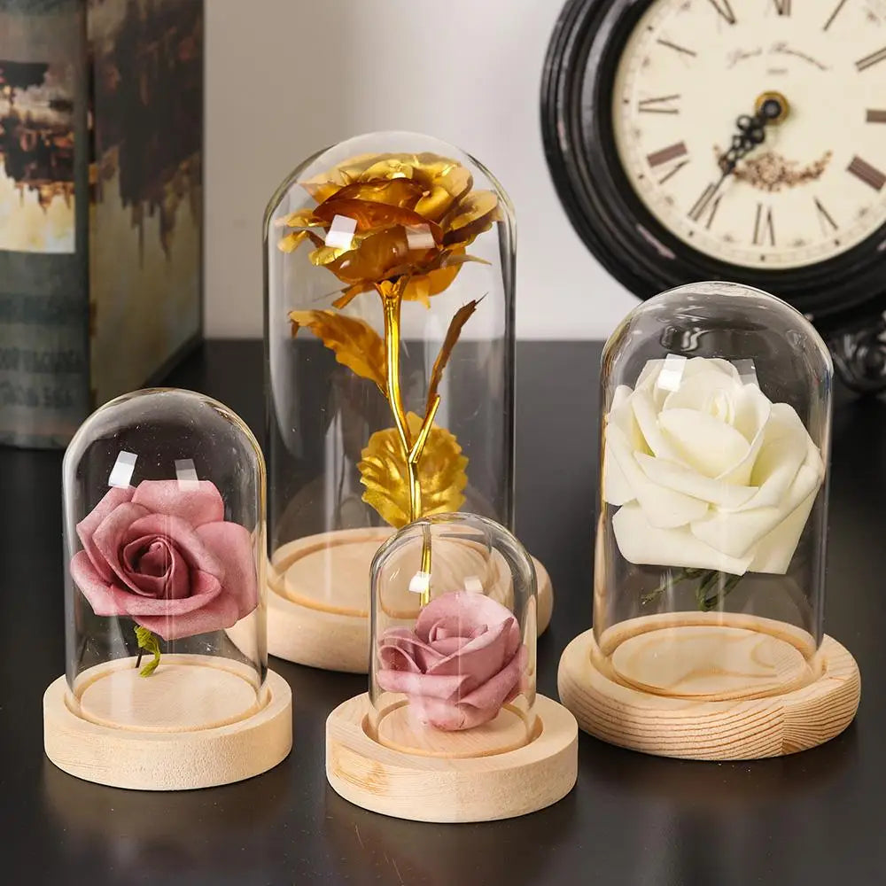 Soporte de exhibición de frasco de vidrio cloche, cubierta de terrario, botella con base de madera, cubierta de acrílico antipolvo, caja de exhibición, caja de flores inmortal