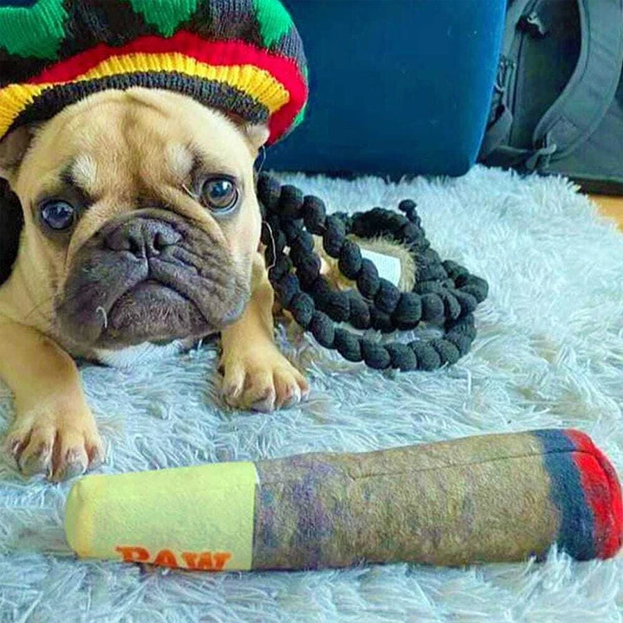 Divertidos juguetes interactivos para perros: peluche chirriante con diseño de cigarro, juguete creativo para masticar para perros pequeños y medianos.