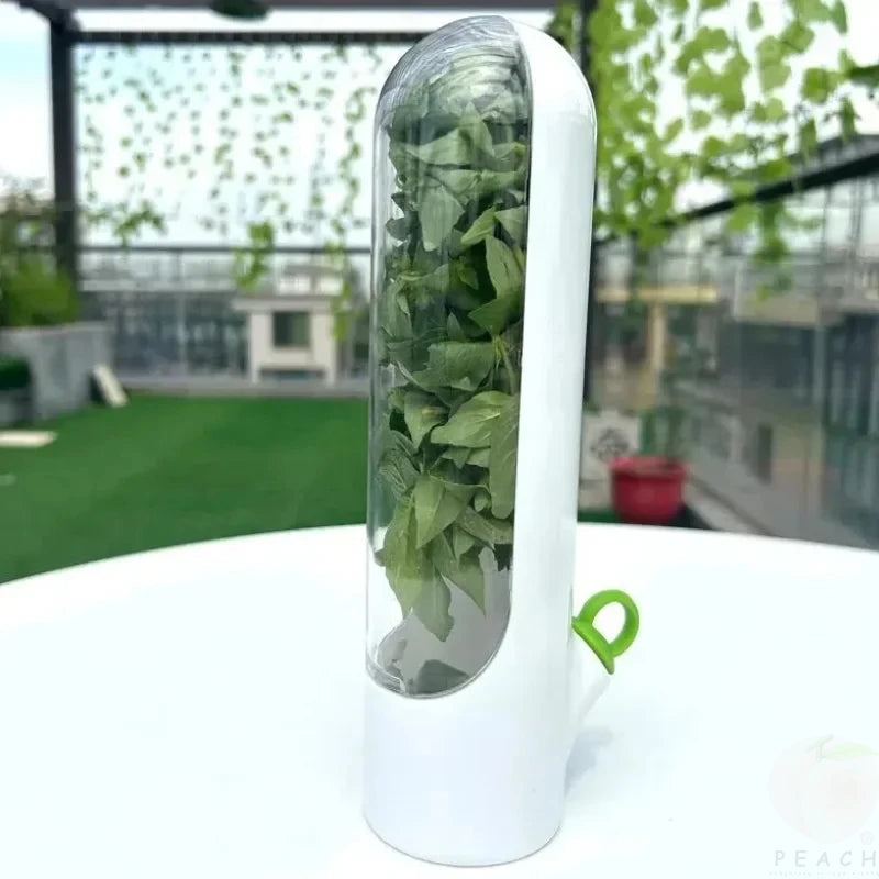 Caja de conservación de verduras frescas de vainilla transfronteriza, a prueba de polvo, antipresión, protección ambiental, dispositivo de conservación de verduras frescas, creativo