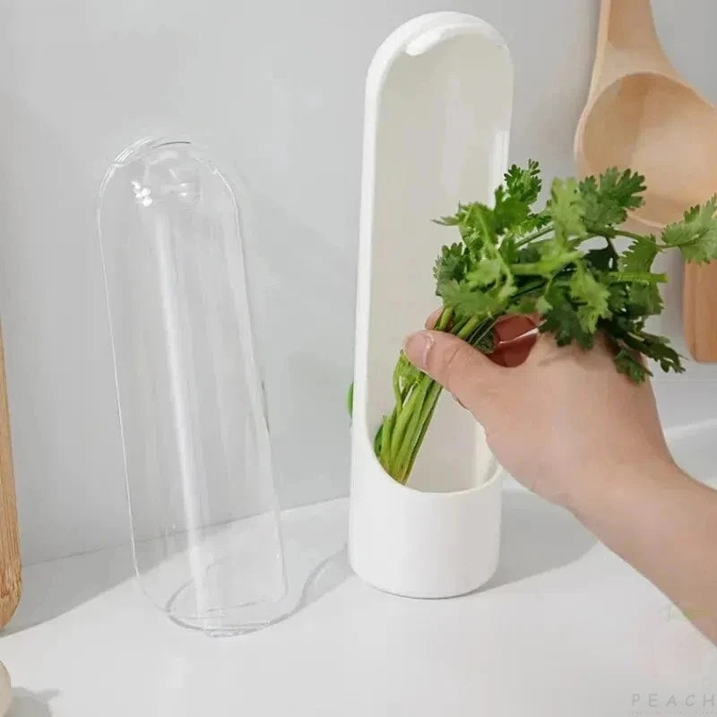 Caja de conservación de verduras frescas de vainilla transfronteriza, a prueba de polvo, antipresión, protección ambiental, dispositivo de conservación de verduras frescas, creativo