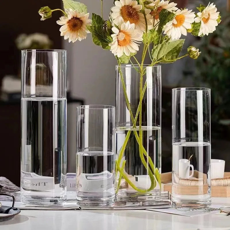 Maceta de vidrio para escritorio con plantas hidropónicas, florero de vidrio transparente, florero cilíndrico para dormitorio, decoración del hogar