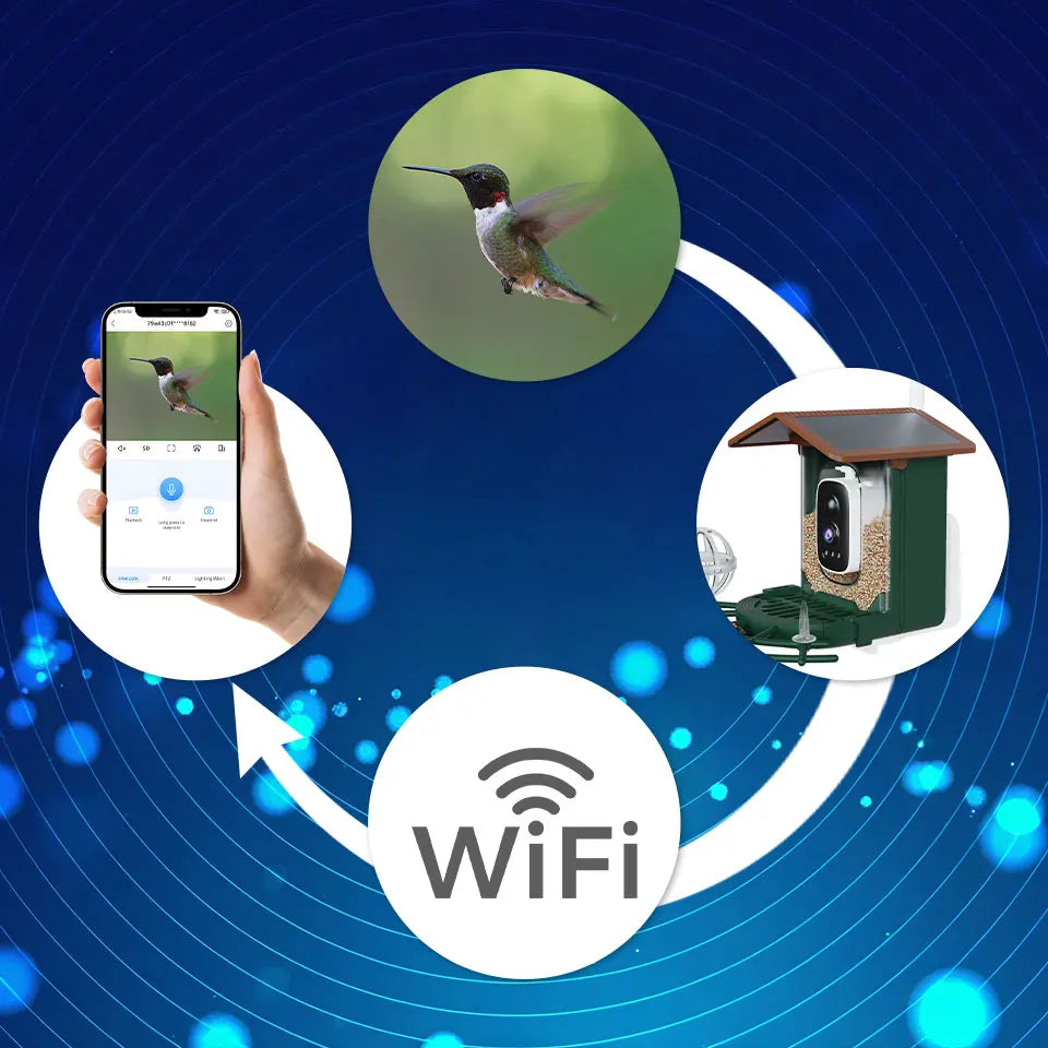 Cámara para comedero de pájaros 4MP 2K HD, captura de vídeo de aves, WiFi, alimentación solar, visión nocturna, observación de aves, alertas instantáneas