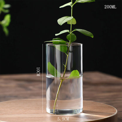 Maceta de vidrio para escritorio con plantas hidropónicas, florero de vidrio transparente, florero cilíndrico para dormitorio, decoración del hogar