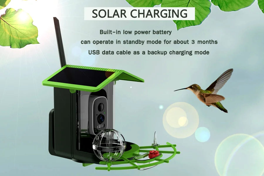 Cámara para comedero de pájaros 4MP 2K HD, captura de vídeo de aves, WiFi, alimentación solar, batería con panel solar, alertas instantáneas, observación de aves
