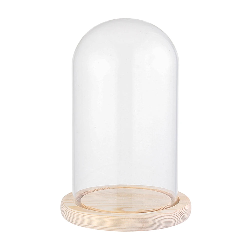 Soporte de exhibición de frasco de vidrio cloche, cubierta de terrario, botella con base de madera, cubierta de acrílico antipolvo, caja de exhibición, caja de flores inmortal