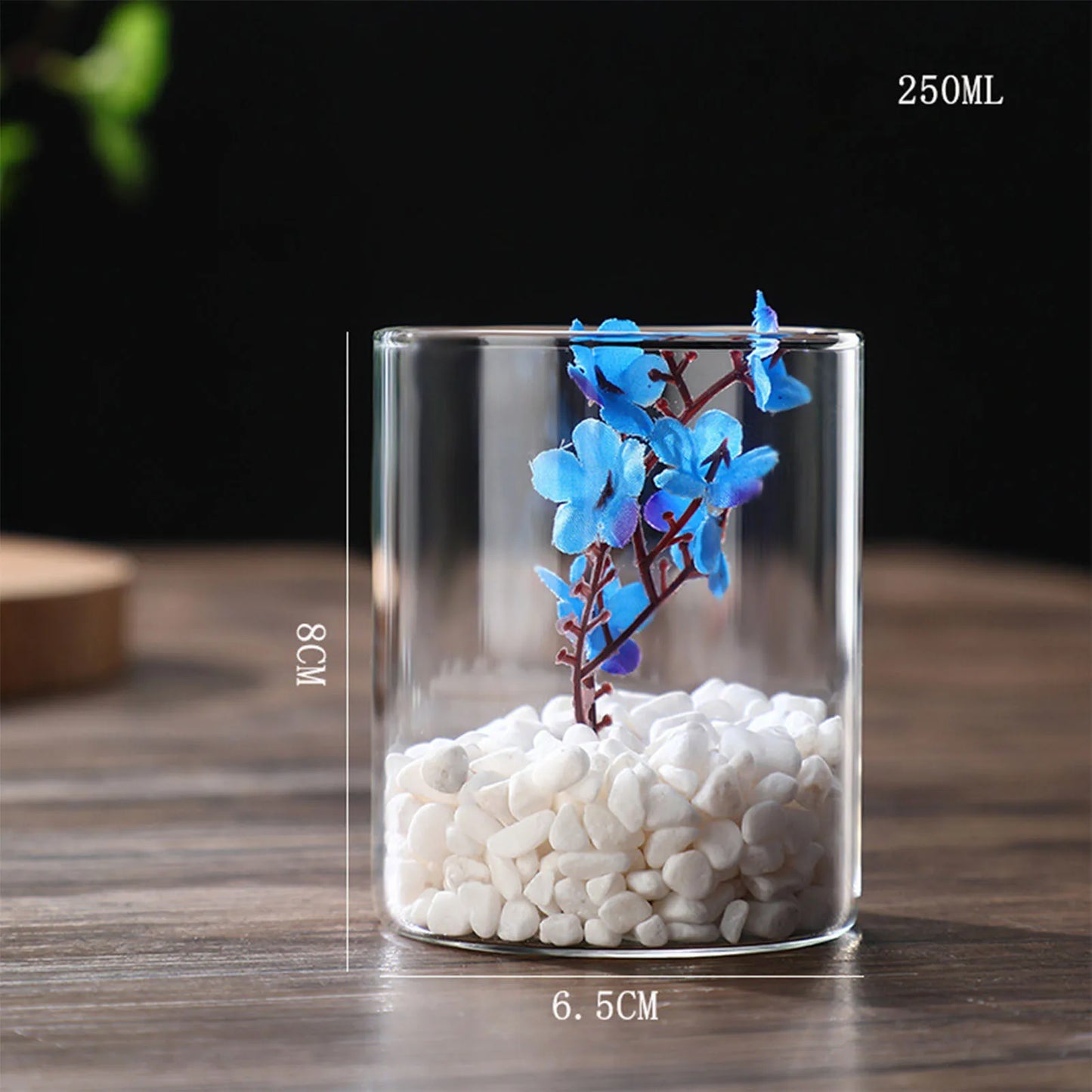Maceta de vidrio para escritorio con plantas hidropónicas, florero de vidrio transparente, florero cilíndrico para dormitorio, decoración del hogar