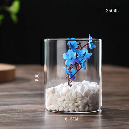 Maceta de vidrio para escritorio con plantas hidropónicas, florero de vidrio transparente, florero cilíndrico para dormitorio, decoración del hogar