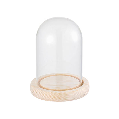 Soporte de exhibición de frasco de vidrio cloche, cubierta de terrario, botella con base de madera, cubierta de acrílico antipolvo, caja de exhibición, caja de flores inmortal
