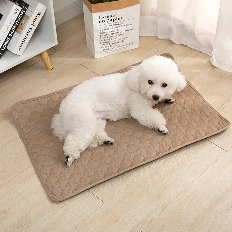 Almohadilla para orina de perro, reutilizable, lavable, para asiento de coche, suelo, sofá, impermeable, absorbente, para entrenamiento de cachorros y gatos, accesorios para mascotas