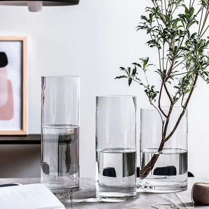 Maceta de vidrio para escritorio con plantas hidropónicas, florero de vidrio transparente, florero cilíndrico para dormitorio, decoración del hogar