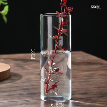 Maceta de vidrio para escritorio con plantas hidropónicas, florero de vidrio transparente, florero cilíndrico para dormitorio, decoración del hogar