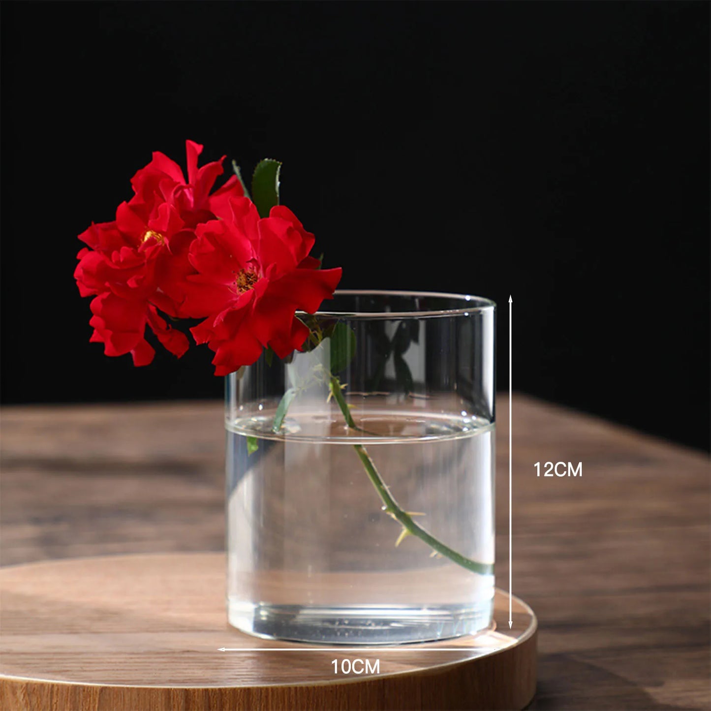Maceta de vidrio para escritorio con plantas hidropónicas, florero de vidrio transparente, florero cilíndrico para dormitorio, decoración del hogar