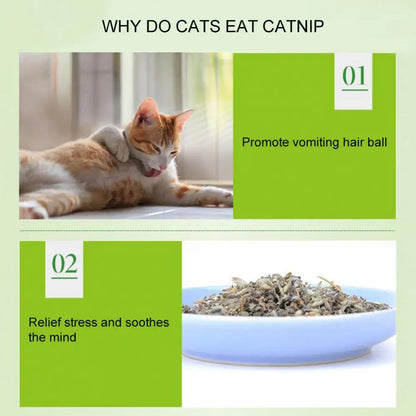 Polvo de menta natural para gatos (5 g/paquete) - Golosinas con sabor a hierba gatera para limpiar la boca de los gatitos