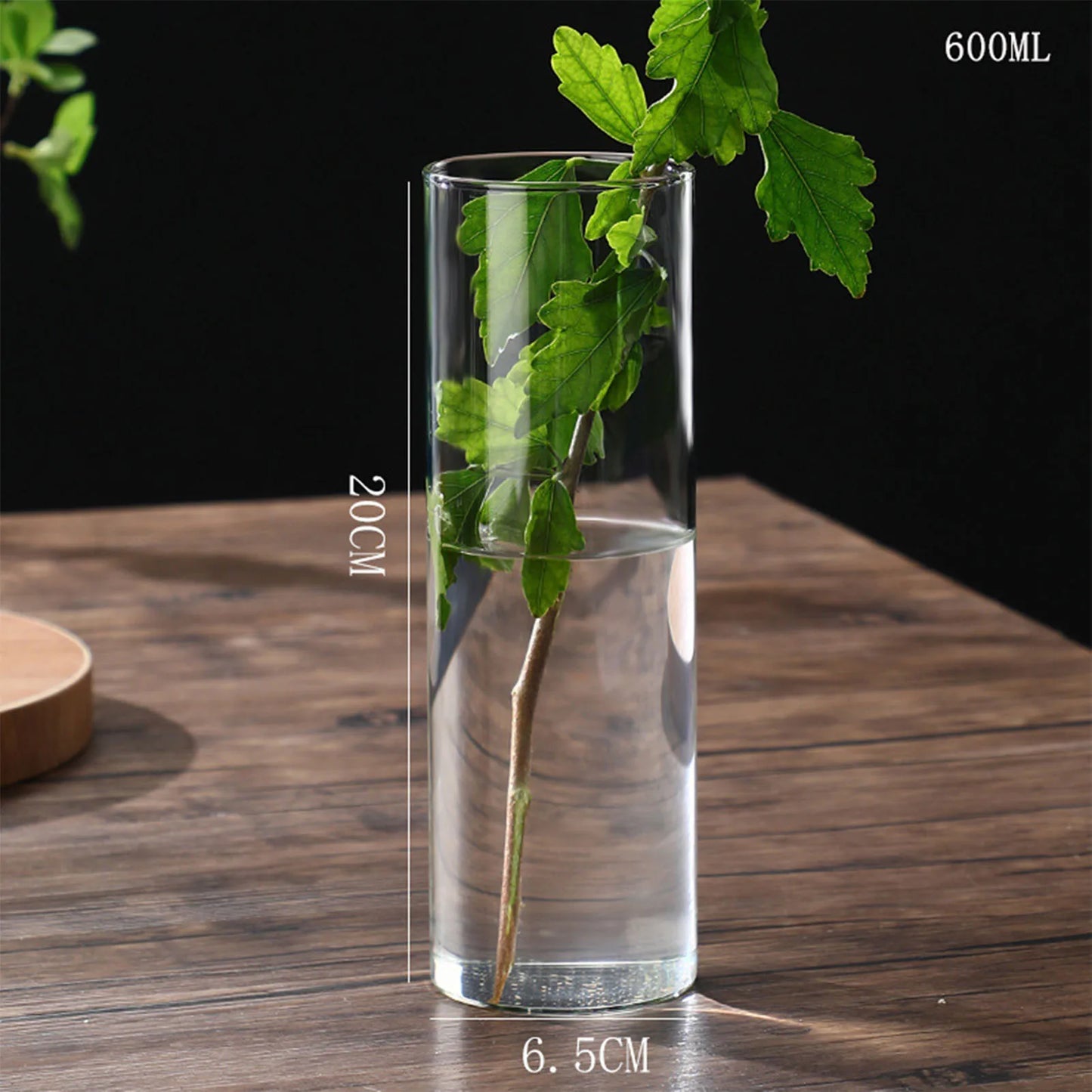 Maceta de vidrio para escritorio con plantas hidropónicas, florero de vidrio transparente, florero cilíndrico para dormitorio, decoración del hogar