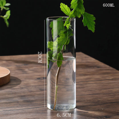 Maceta de vidrio para escritorio con plantas hidropónicas, florero de vidrio transparente, florero cilíndrico para dormitorio, decoración del hogar