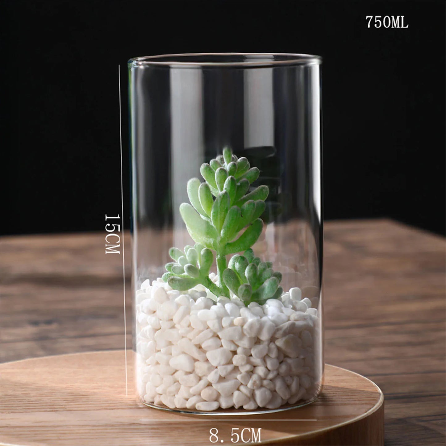 Maceta de vidrio para escritorio con plantas hidropónicas, florero de vidrio transparente, florero cilíndrico para dormitorio, decoración del hogar