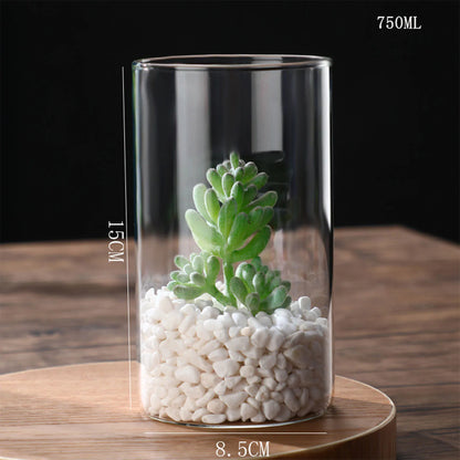 Maceta de vidrio para escritorio con plantas hidropónicas, florero de vidrio transparente, florero cilíndrico para dormitorio, decoración del hogar