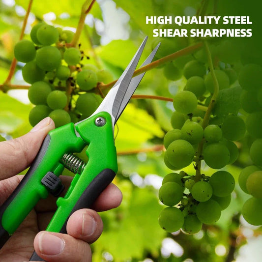 Herramientas de jardinería, tijeras de podar para bonsái, tijeras de jardinería de metal, herramienta de poda, cortador manual, recolección de frutas, malezas, para uso doméstico, 1 pieza