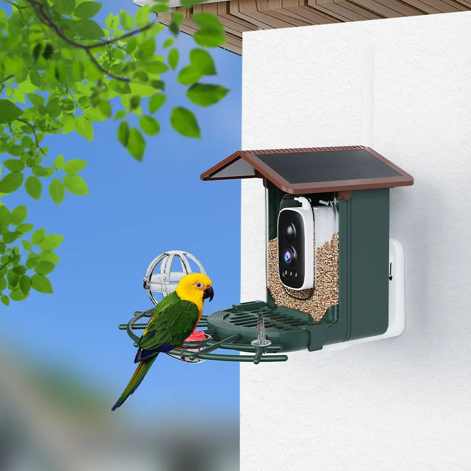 Cámara para comedero de pájaros 4MP 2K HD, captura de vídeo de aves, WiFi, alimentación solar, visión nocturna, observación de aves, alertas instantáneas