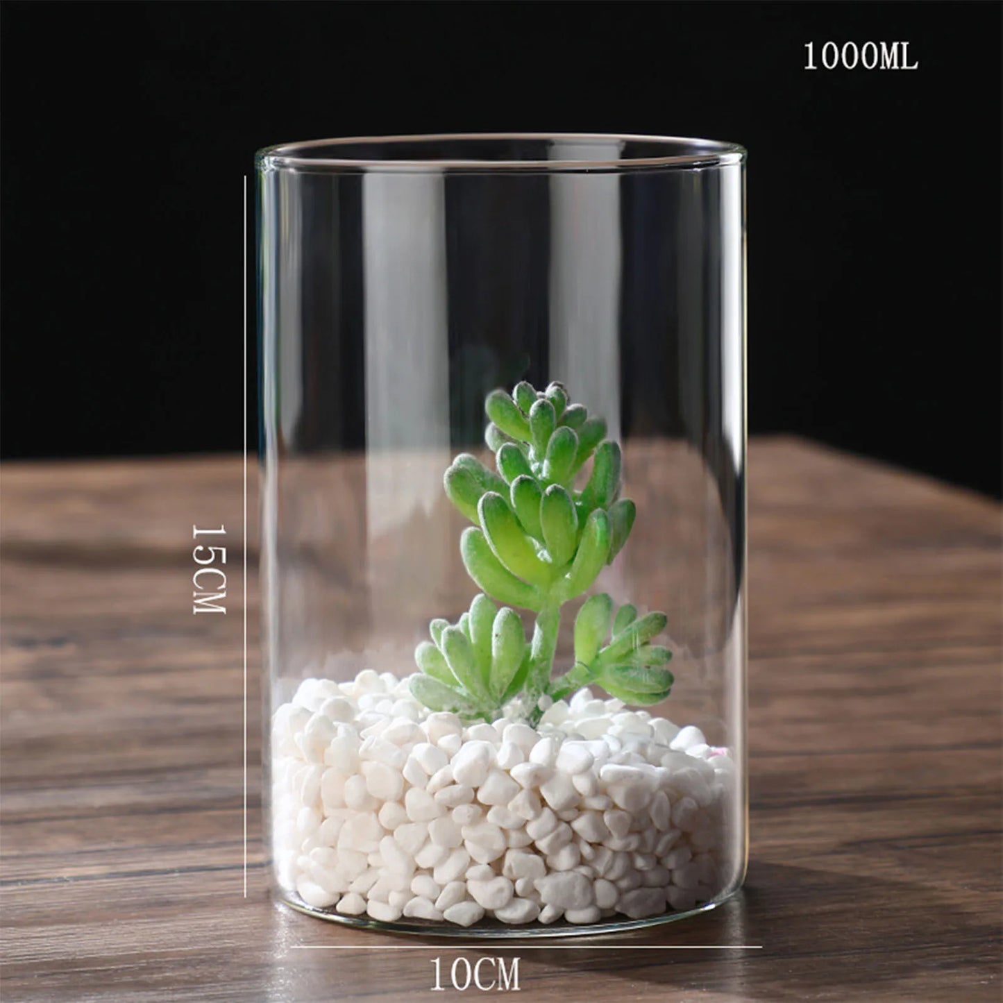 Maceta de vidrio para escritorio con plantas hidropónicas, florero de vidrio transparente, florero cilíndrico para dormitorio, decoración del hogar